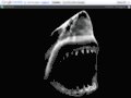 Aggressive PREDATORS France - Site consacré aux piranhas & NAC